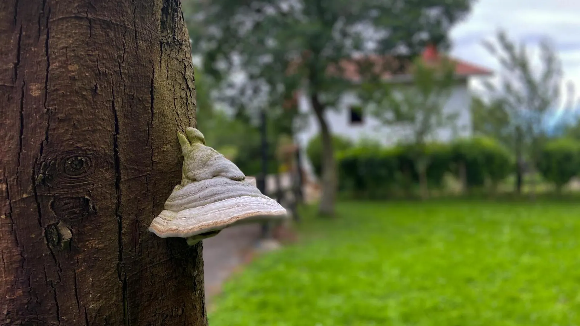 Farm stay Agroturismo Kostegi Urnieta