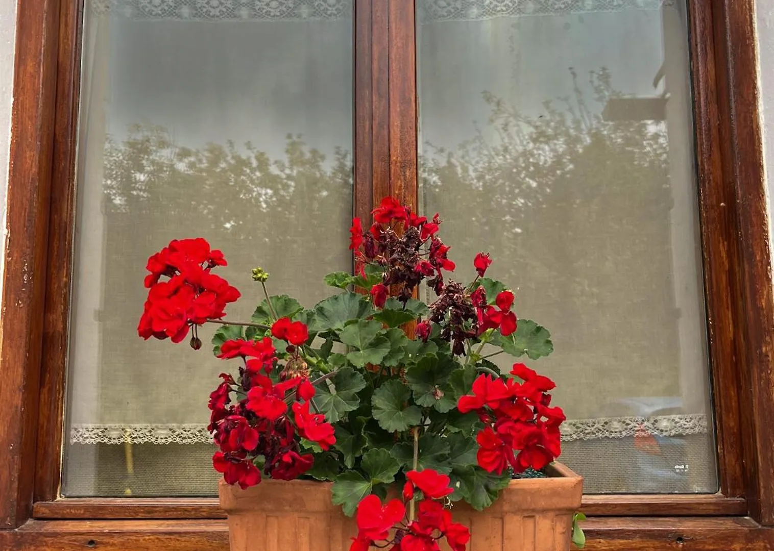 Agroturismo Kostegi Urnieta Farm stay