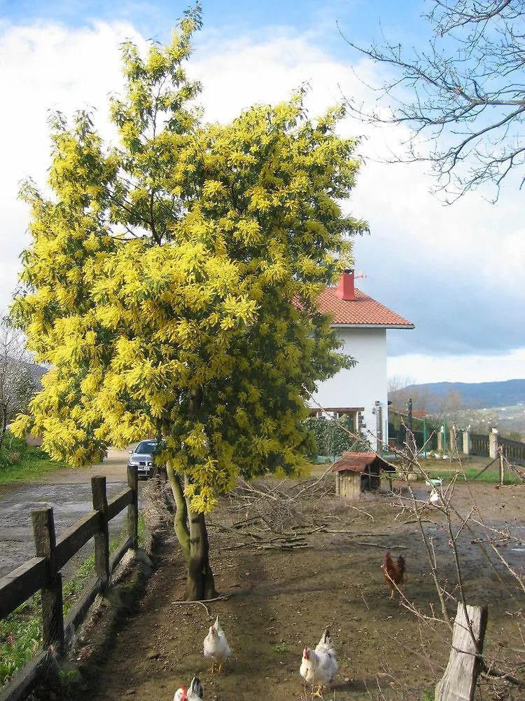 Agroturismo Kostegi Urnieta 0*,  Spain